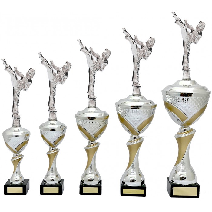MARTIAL ARTS METAL TROPHY  - AVAILABLE IN 5 SIZES